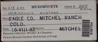 Image Associated With the Occurence